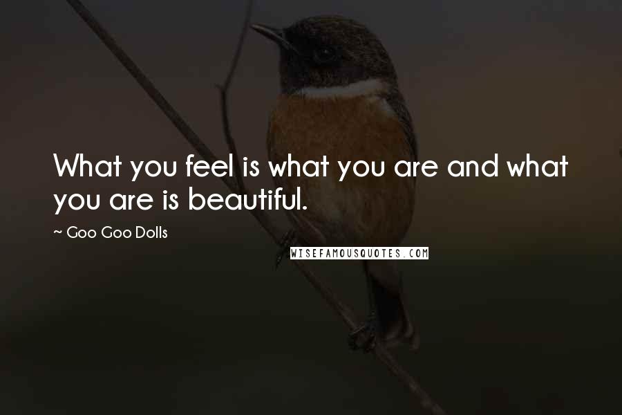 Goo Goo Dolls Quotes: What you feel is what you are and what you are is beautiful.