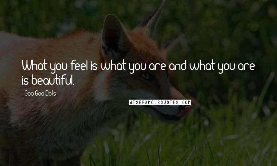 Goo Goo Dolls Quotes: What you feel is what you are and what you are is beautiful.