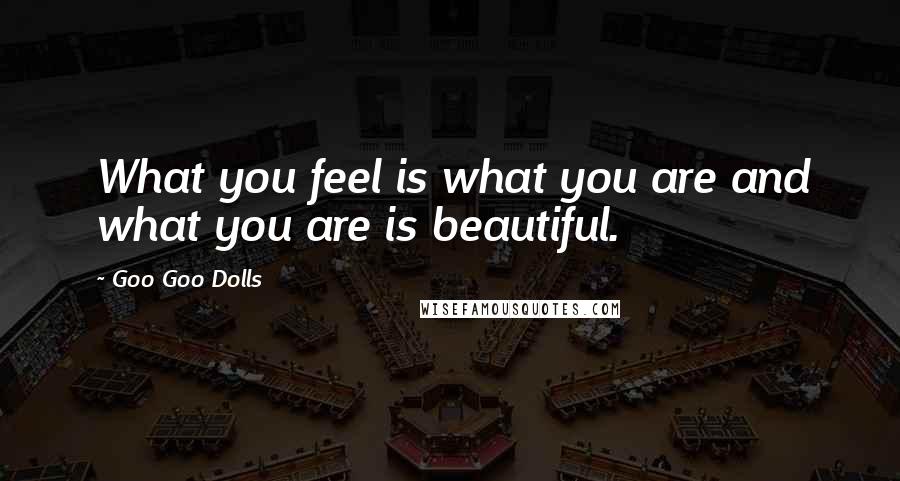 Goo Goo Dolls Quotes: What you feel is what you are and what you are is beautiful.