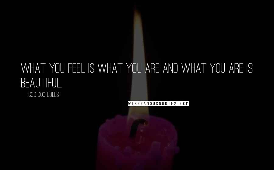 Goo Goo Dolls Quotes: What you feel is what you are and what you are is beautiful.
