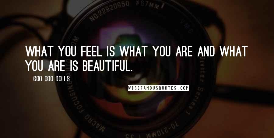 Goo Goo Dolls Quotes: What you feel is what you are and what you are is beautiful.