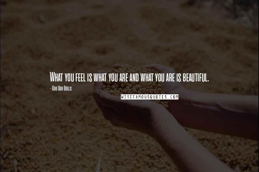 Goo Goo Dolls Quotes: What you feel is what you are and what you are is beautiful.