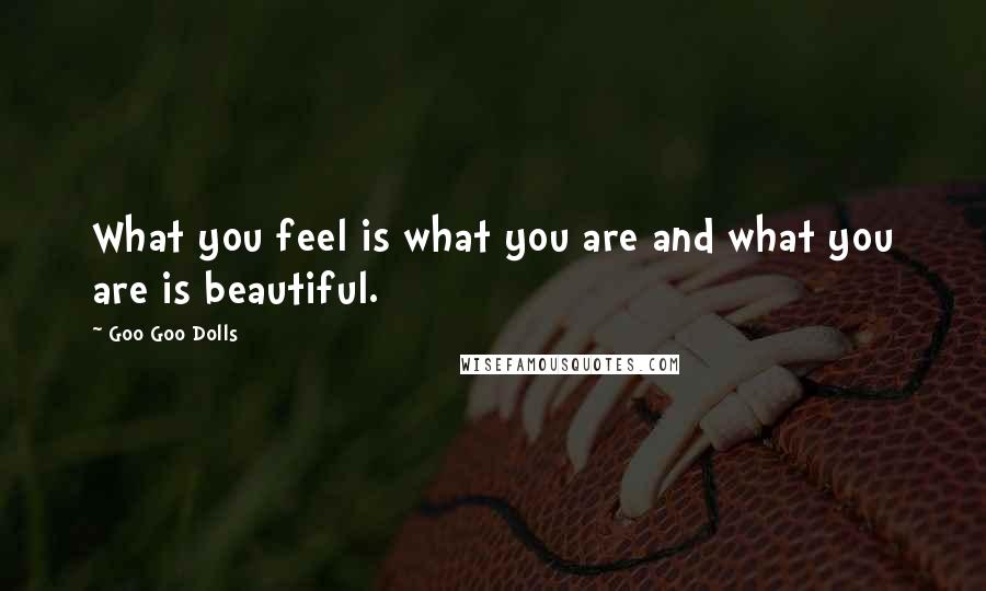 Goo Goo Dolls Quotes: What you feel is what you are and what you are is beautiful.