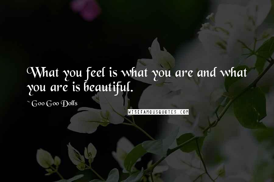 Goo Goo Dolls Quotes: What you feel is what you are and what you are is beautiful.