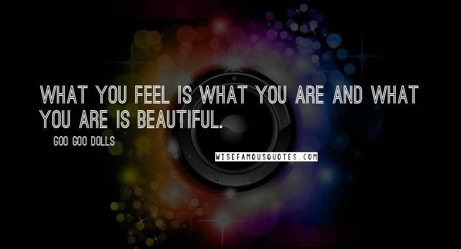 Goo Goo Dolls Quotes: What you feel is what you are and what you are is beautiful.