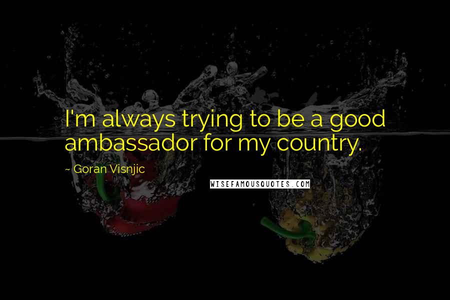 Goran Visnjic Quotes: I'm always trying to be a good ambassador for my country.