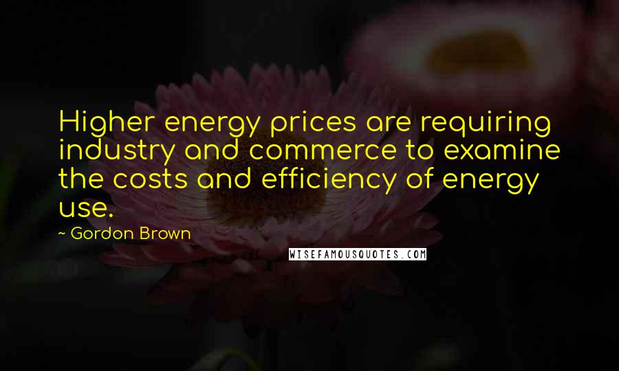 Gordon Brown Quotes: Higher energy prices are requiring industry and commerce to examine the costs and efficiency of energy use.