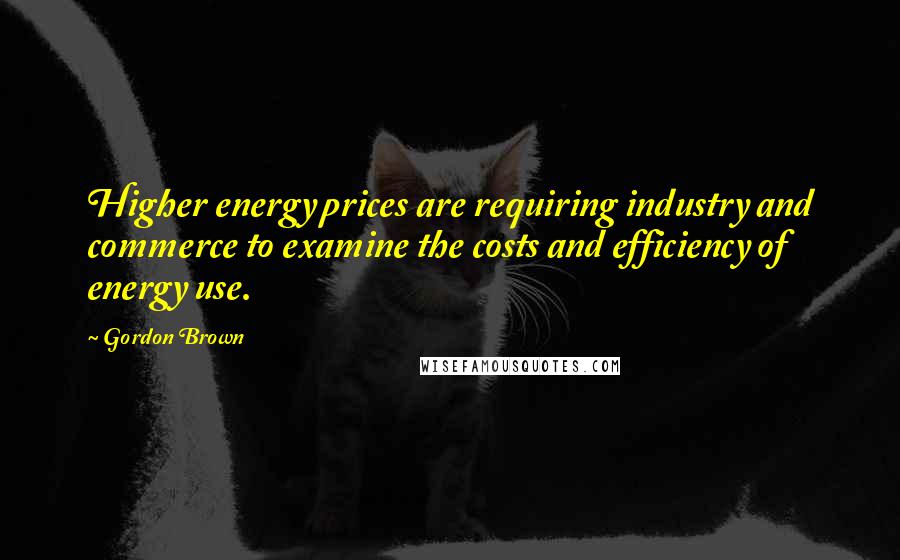 Gordon Brown Quotes: Higher energy prices are requiring industry and commerce to examine the costs and efficiency of energy use.