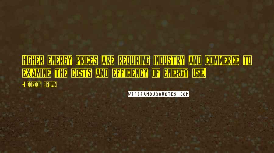 Gordon Brown Quotes: Higher energy prices are requiring industry and commerce to examine the costs and efficiency of energy use.