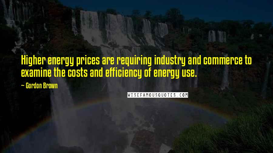 Gordon Brown Quotes: Higher energy prices are requiring industry and commerce to examine the costs and efficiency of energy use.