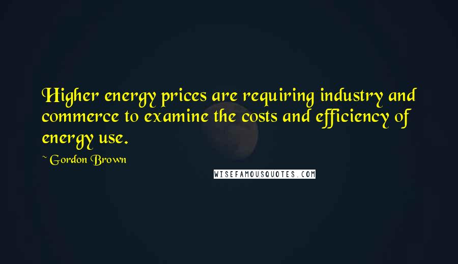 Gordon Brown Quotes: Higher energy prices are requiring industry and commerce to examine the costs and efficiency of energy use.