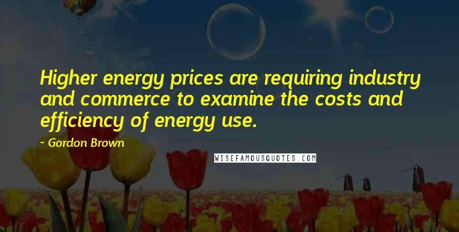 Gordon Brown Quotes: Higher energy prices are requiring industry and commerce to examine the costs and efficiency of energy use.