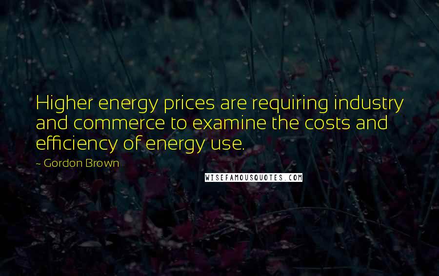 Gordon Brown Quotes: Higher energy prices are requiring industry and commerce to examine the costs and efficiency of energy use.