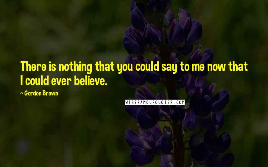 Gordon Brown Quotes: There is nothing that you could say to me now that I could ever believe.
