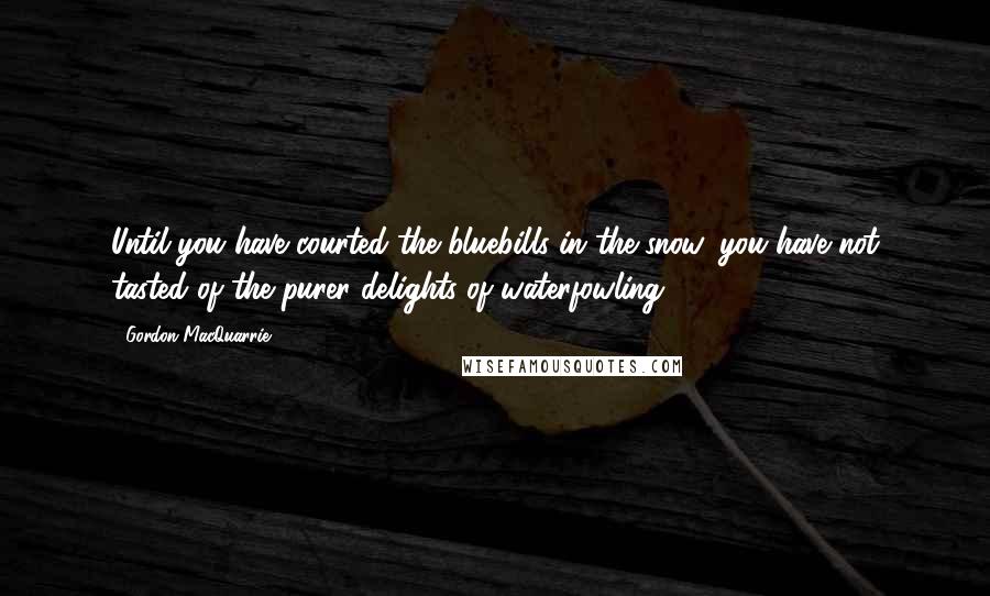 Gordon MacQuarrie Quotes: Until you have courted the bluebills in the snow, you have not tasted of the purer delights of waterfowling