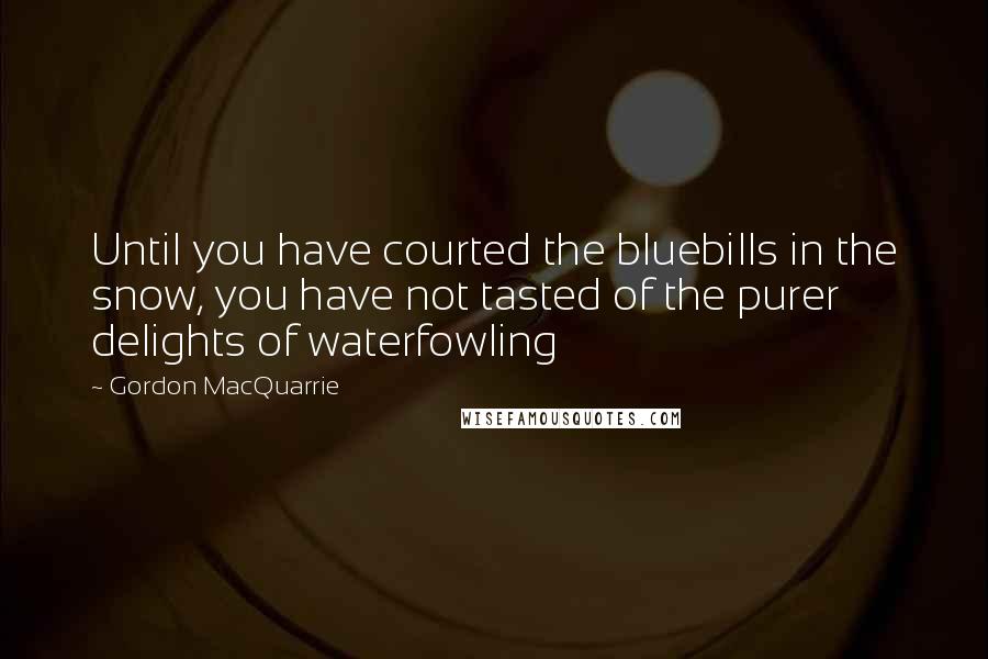 Gordon MacQuarrie Quotes: Until you have courted the bluebills in the snow, you have not tasted of the purer delights of waterfowling