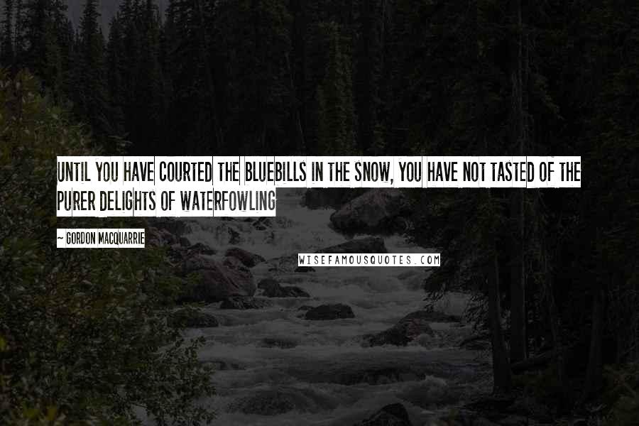 Gordon MacQuarrie Quotes: Until you have courted the bluebills in the snow, you have not tasted of the purer delights of waterfowling