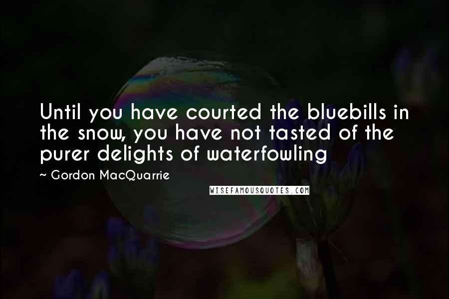 Gordon MacQuarrie Quotes: Until you have courted the bluebills in the snow, you have not tasted of the purer delights of waterfowling