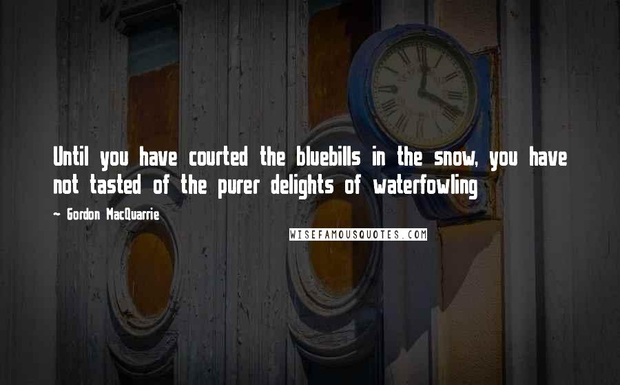 Gordon MacQuarrie Quotes: Until you have courted the bluebills in the snow, you have not tasted of the purer delights of waterfowling