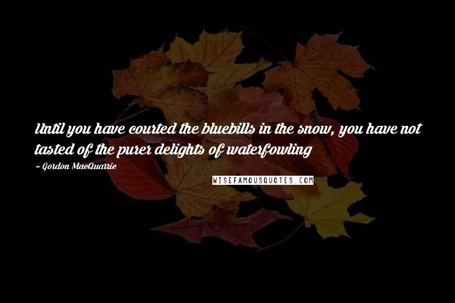 Gordon MacQuarrie Quotes: Until you have courted the bluebills in the snow, you have not tasted of the purer delights of waterfowling