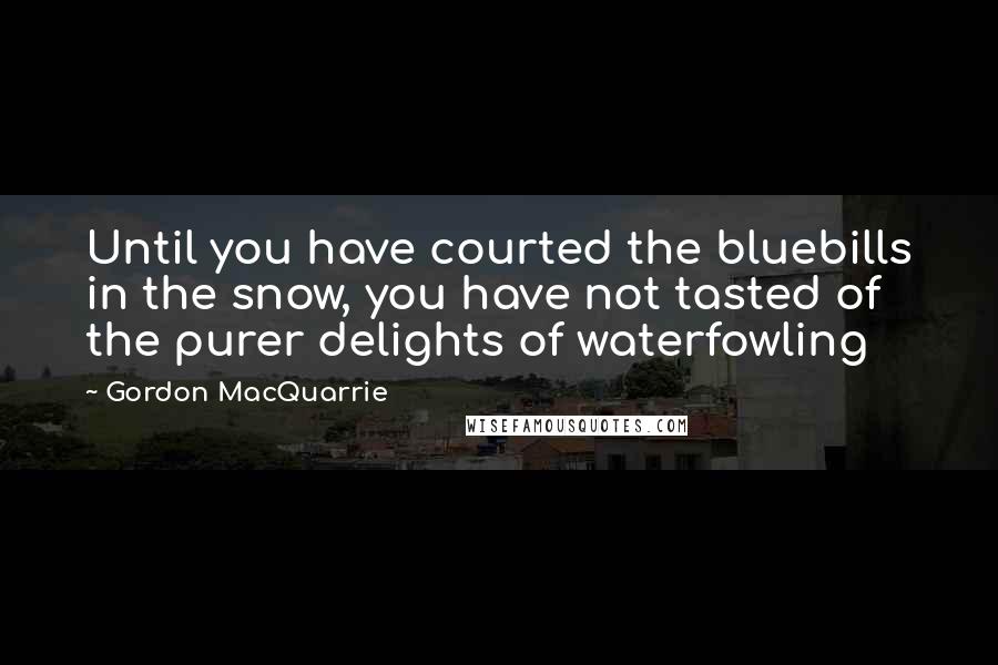 Gordon MacQuarrie Quotes: Until you have courted the bluebills in the snow, you have not tasted of the purer delights of waterfowling