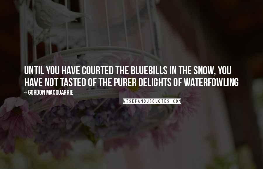 Gordon MacQuarrie Quotes: Until you have courted the bluebills in the snow, you have not tasted of the purer delights of waterfowling