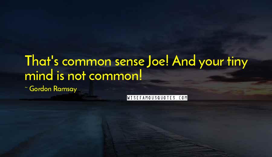 Gordon Ramsay Quotes: That's common sense Joe! And your tiny mind is not common!