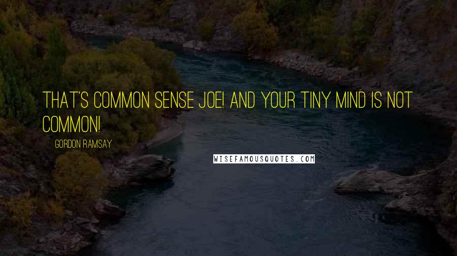 Gordon Ramsay Quotes: That's common sense Joe! And your tiny mind is not common!