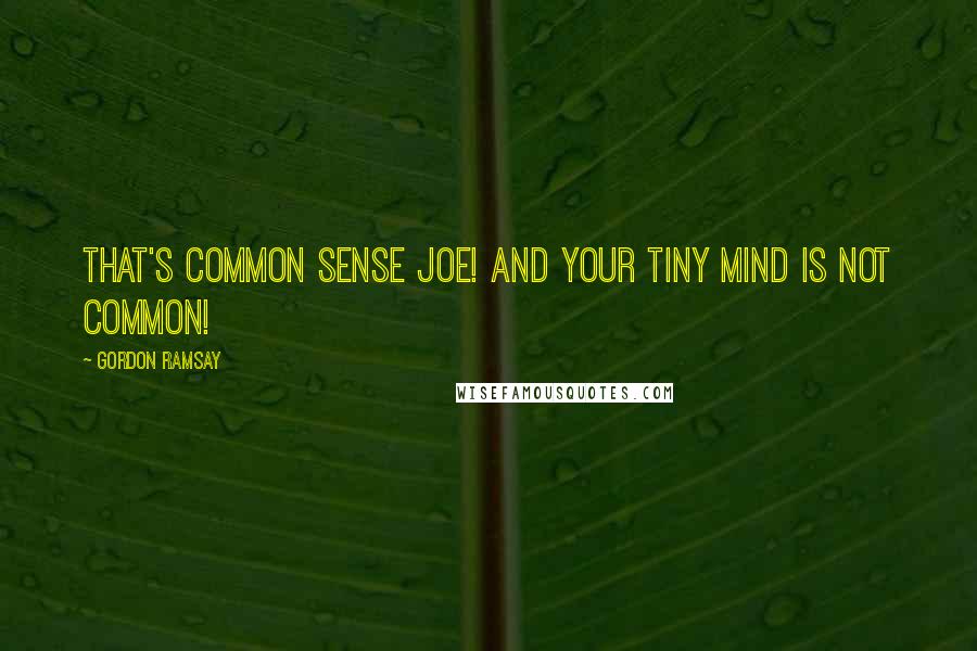 Gordon Ramsay Quotes: That's common sense Joe! And your tiny mind is not common!