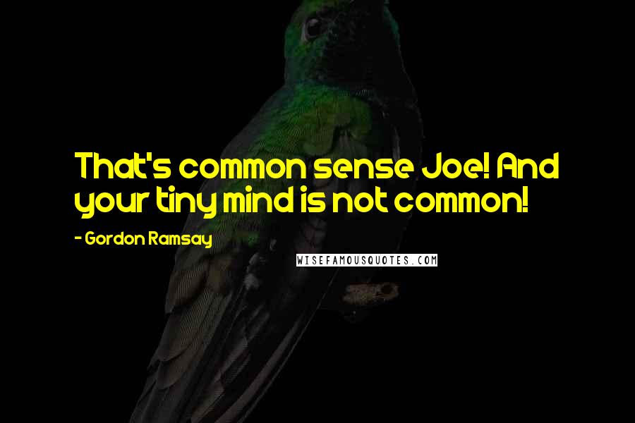 Gordon Ramsay Quotes: That's common sense Joe! And your tiny mind is not common!