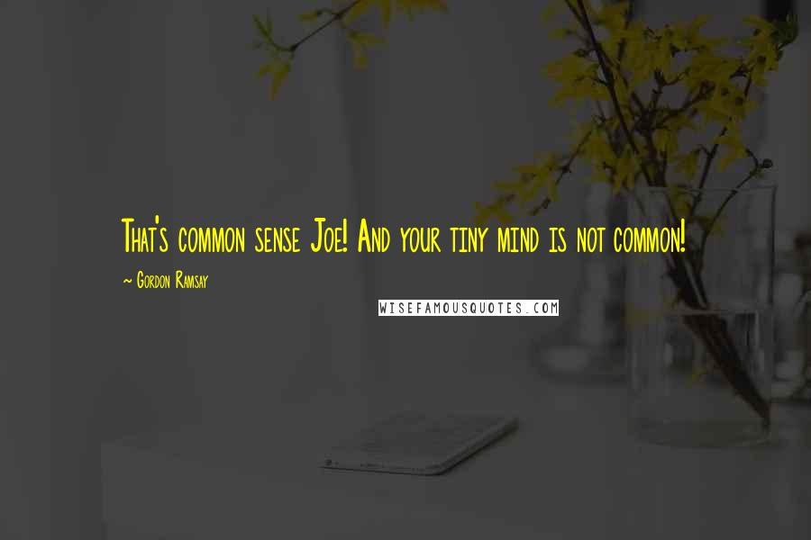 Gordon Ramsay Quotes: That's common sense Joe! And your tiny mind is not common!