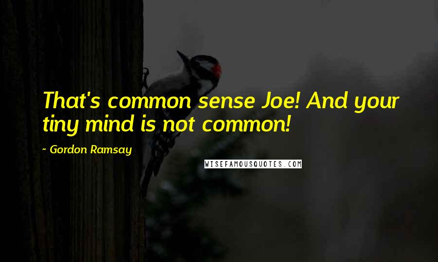 Gordon Ramsay Quotes: That's common sense Joe! And your tiny mind is not common!