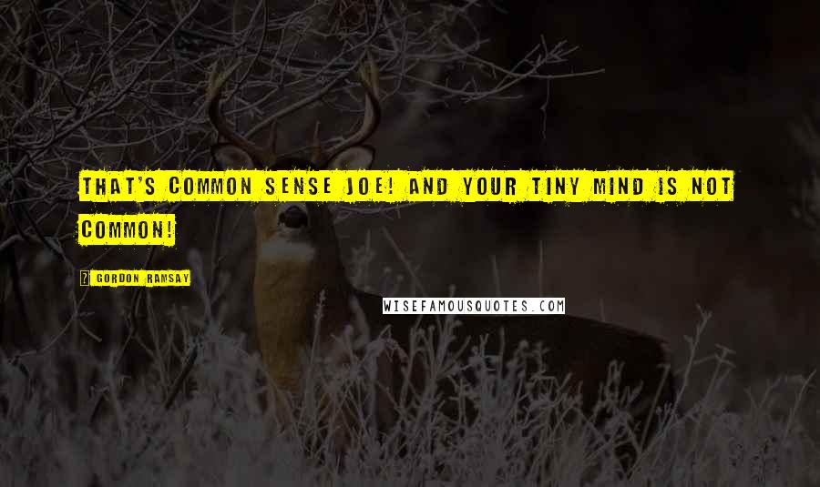 Gordon Ramsay Quotes: That's common sense Joe! And your tiny mind is not common!