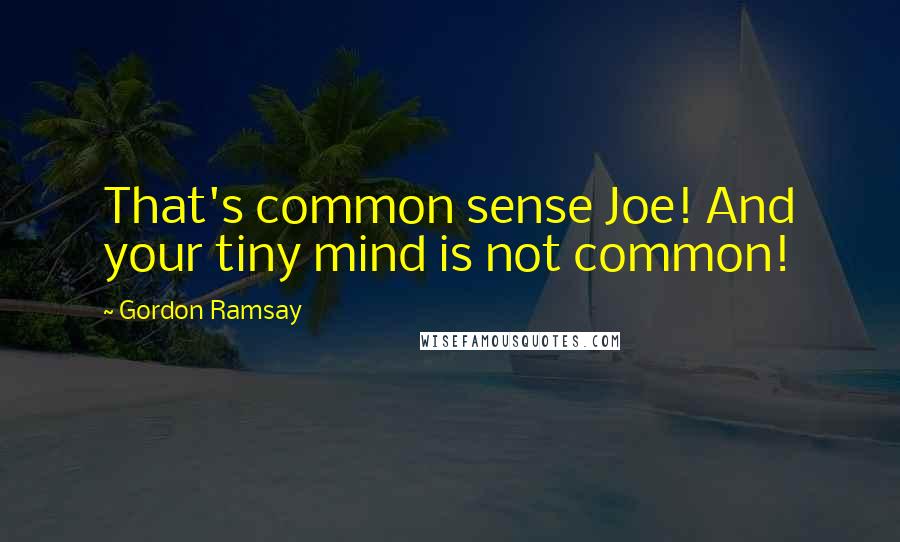 Gordon Ramsay Quotes: That's common sense Joe! And your tiny mind is not common!