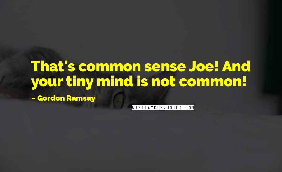 Gordon Ramsay Quotes: That's common sense Joe! And your tiny mind is not common!