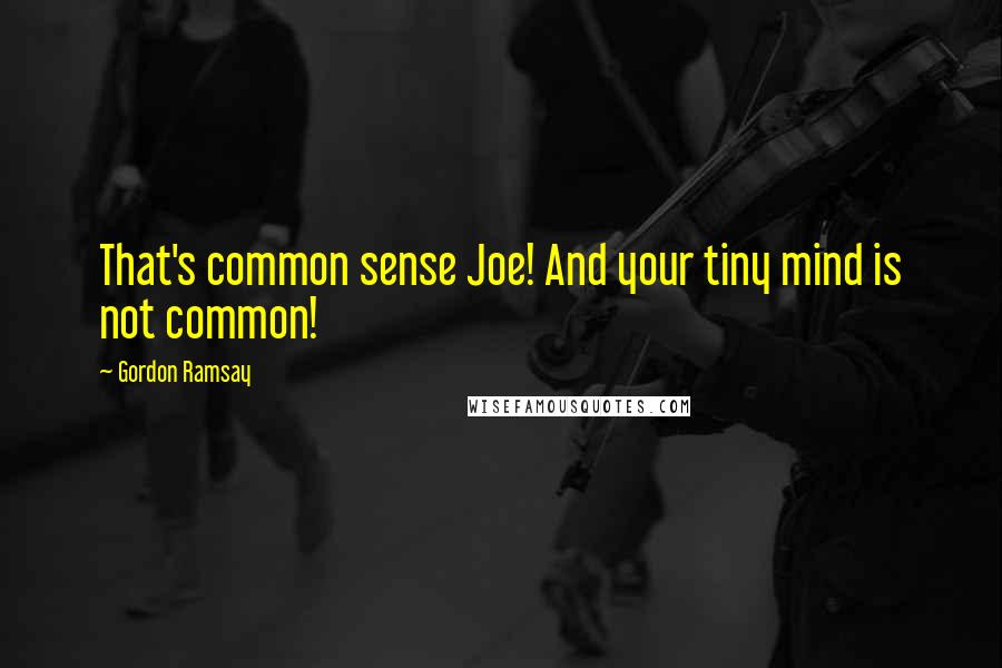 Gordon Ramsay Quotes: That's common sense Joe! And your tiny mind is not common!