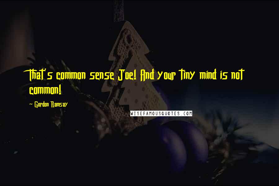 Gordon Ramsay Quotes: That's common sense Joe! And your tiny mind is not common!