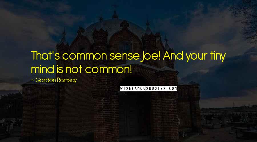 Gordon Ramsay Quotes: That's common sense Joe! And your tiny mind is not common!