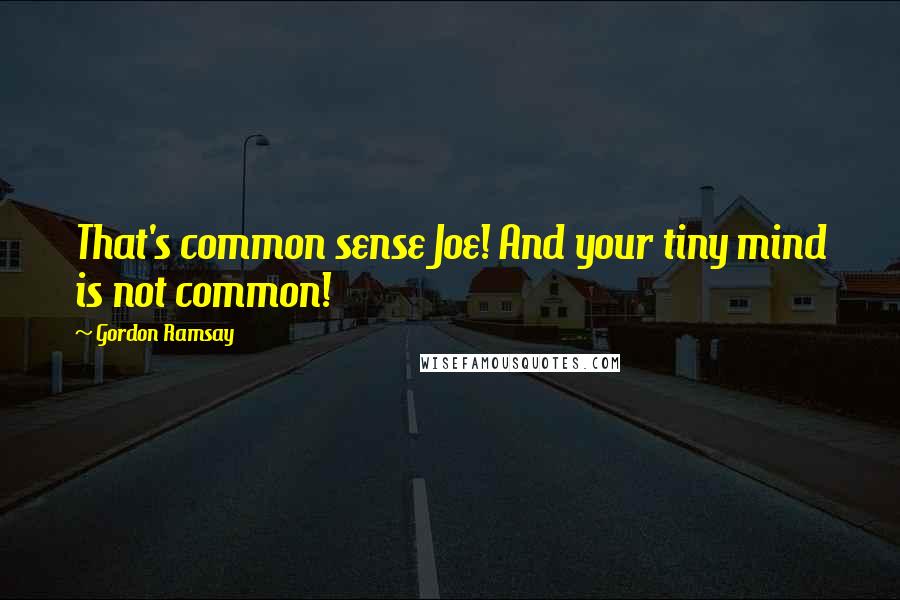 Gordon Ramsay Quotes: That's common sense Joe! And your tiny mind is not common!