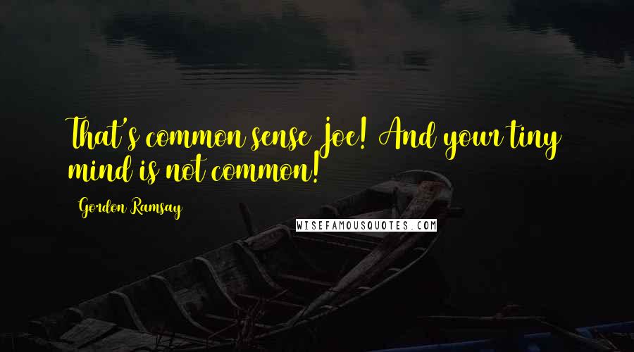 Gordon Ramsay Quotes: That's common sense Joe! And your tiny mind is not common!