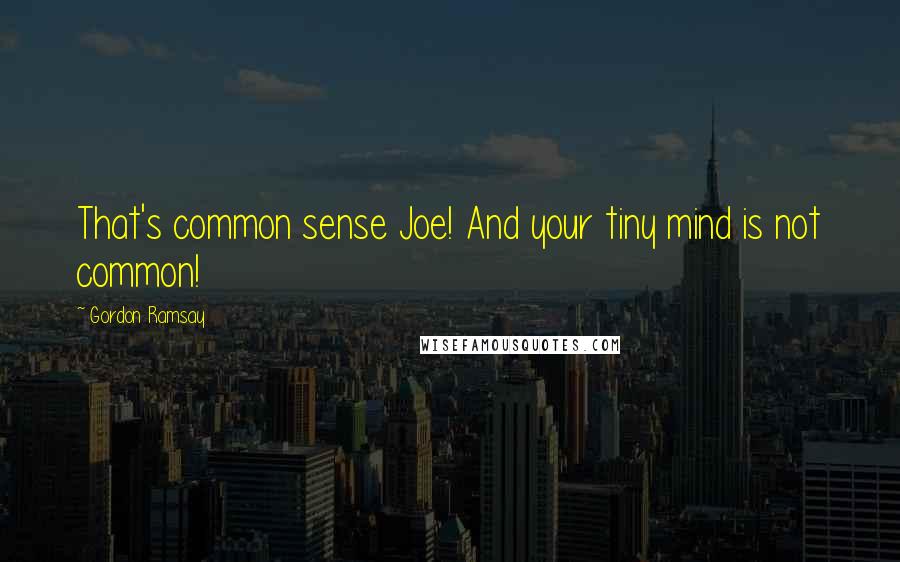 Gordon Ramsay Quotes: That's common sense Joe! And your tiny mind is not common!