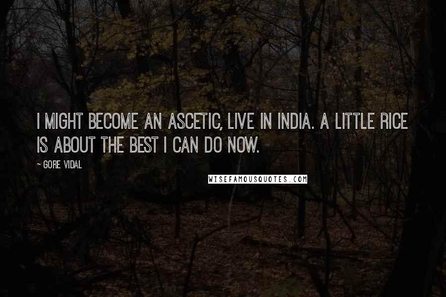 Gore Vidal Quotes: I might become an ascetic, live in India. A little rice is about the best I can do now.