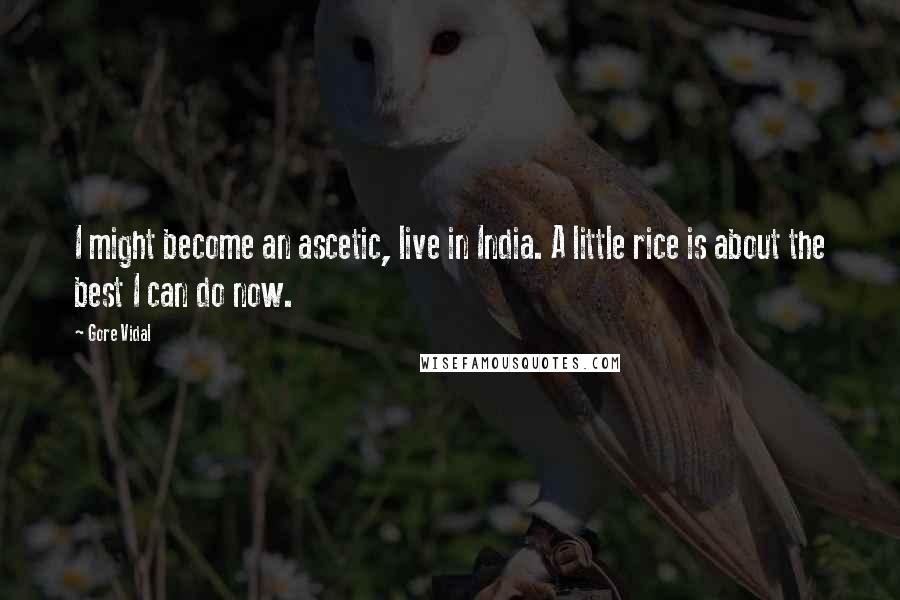 Gore Vidal Quotes: I might become an ascetic, live in India. A little rice is about the best I can do now.