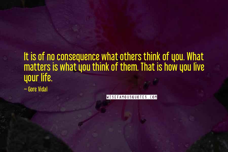 Gore Vidal Quotes: It is of no consequence what others think of you. What matters is what you think of them. That is how you live your life.