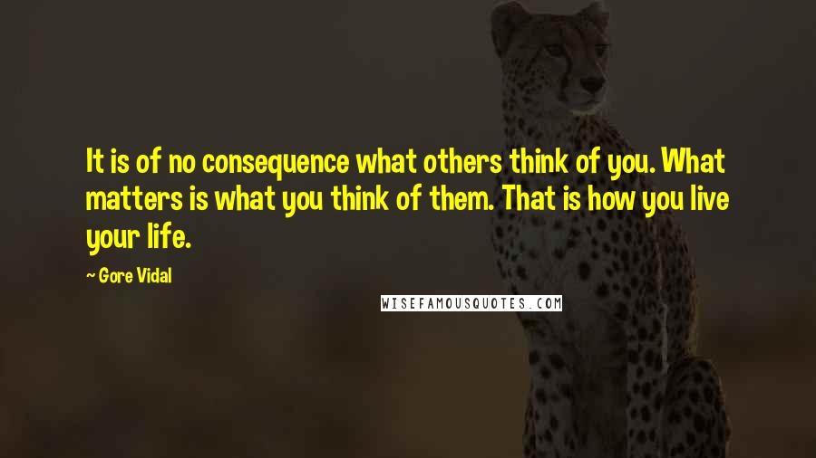 Gore Vidal Quotes: It is of no consequence what others think of you. What matters is what you think of them. That is how you live your life.