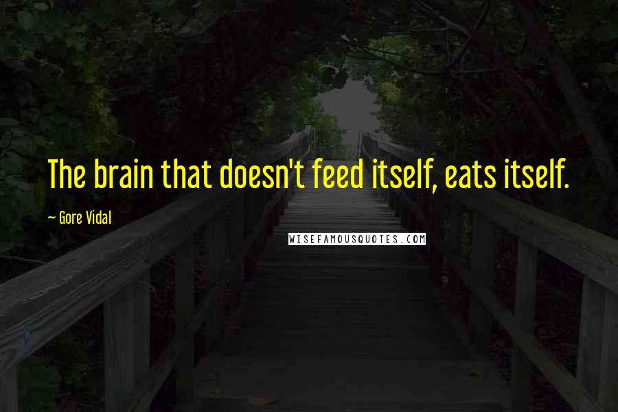 Gore Vidal Quotes: The brain that doesn't feed itself, eats itself.