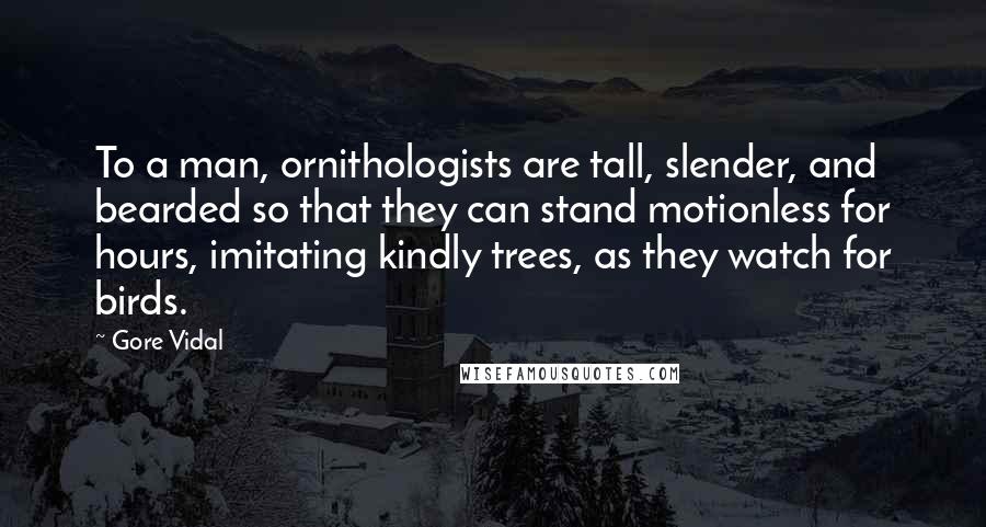 Gore Vidal Quotes: To a man, ornithologists are tall, slender, and bearded so that they can stand motionless for hours, imitating kindly trees, as they watch for birds.