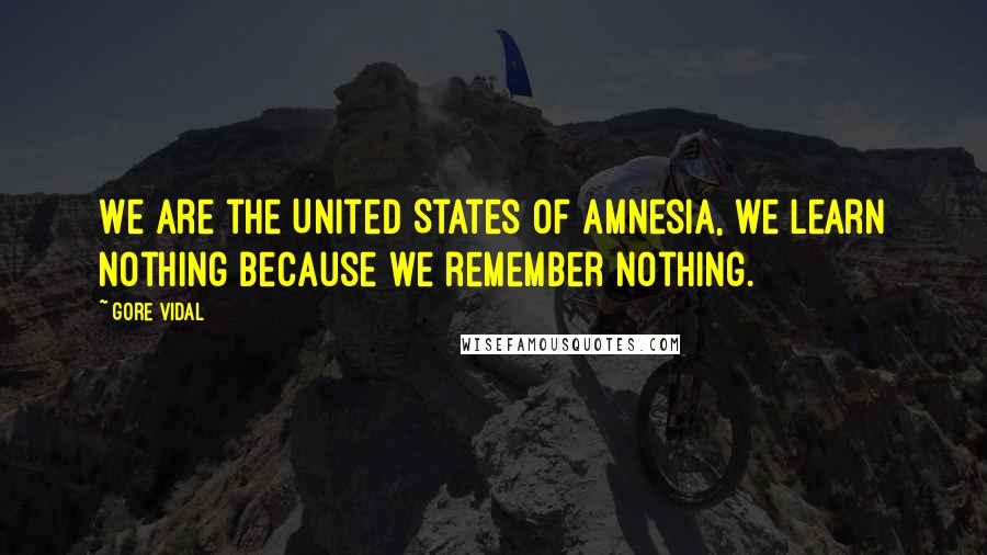 Gore Vidal Quotes: We are the United States of Amnesia, we learn nothing because we remember nothing.