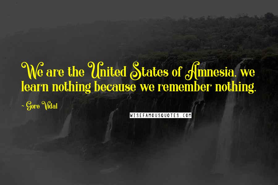 Gore Vidal Quotes: We are the United States of Amnesia, we learn nothing because we remember nothing.
