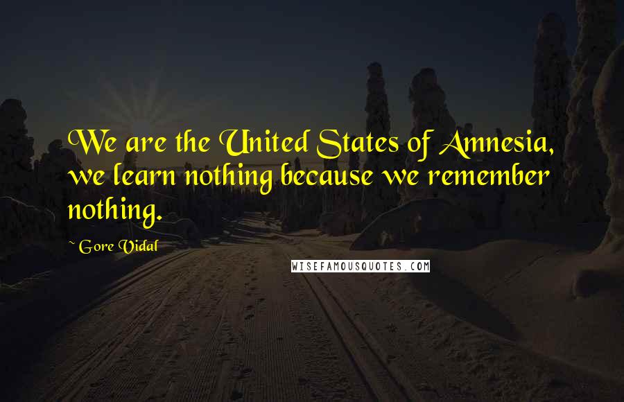 Gore Vidal Quotes: We are the United States of Amnesia, we learn nothing because we remember nothing.